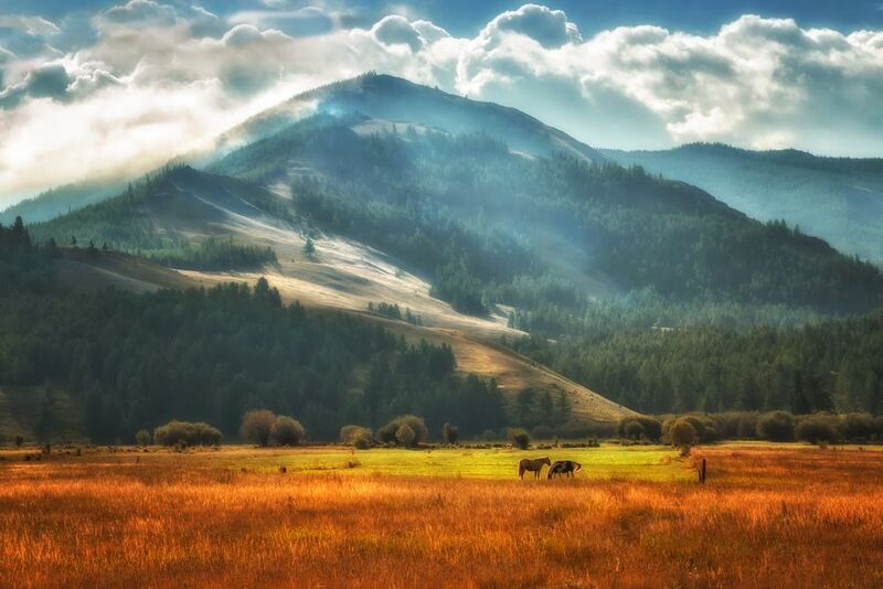 горный алтай, степь самаха, конец августа, утро,туман, лошадки Туманное утро в степи СамахА... фото превью