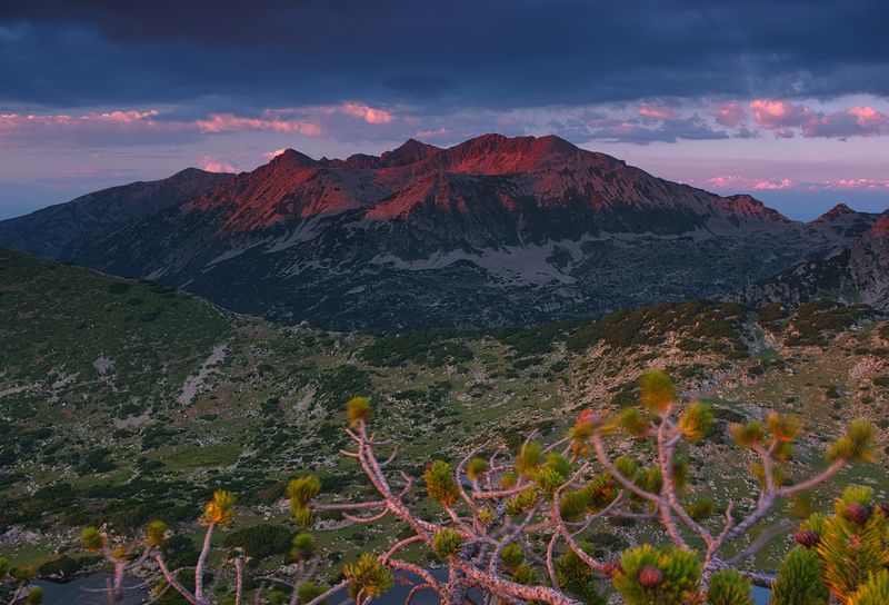 фото превью