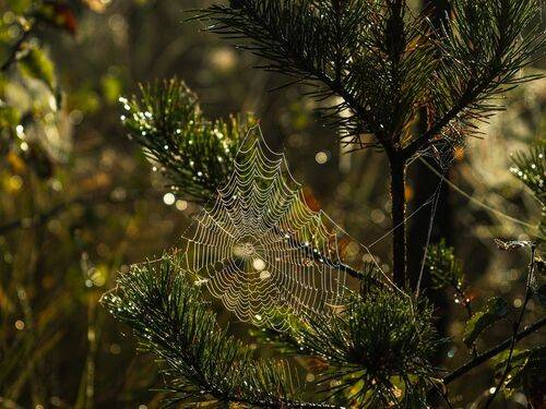 Путешествия