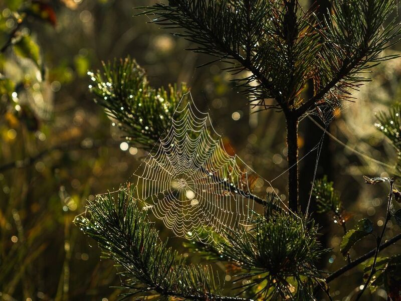 Путешествия фото превью