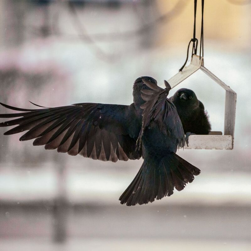 Занято! фото превью