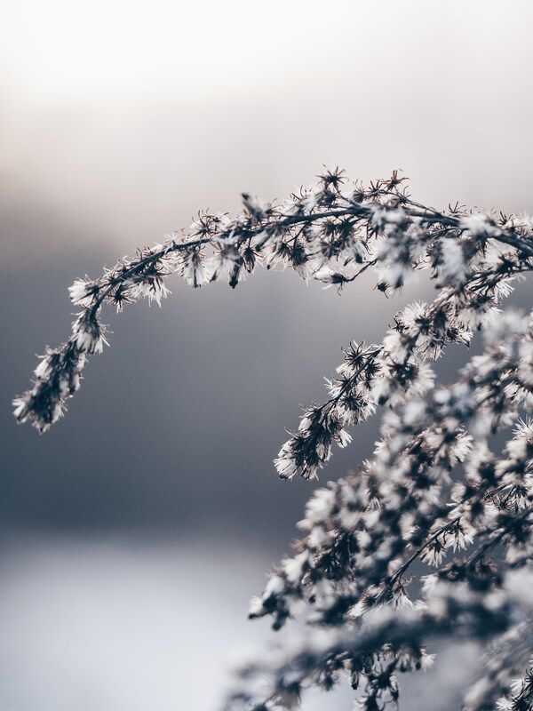 Зимний день фото превью