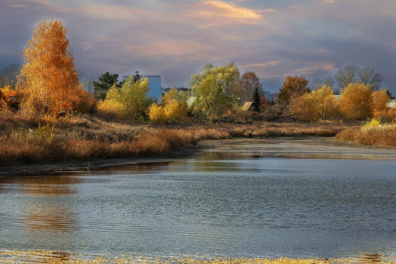 Ностальгия по осени. Автор: Александр Канцур озеро, нанаево, (время, съемки, -, золотой, час), Александр Канцур