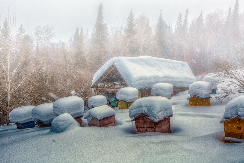 *** фото превью