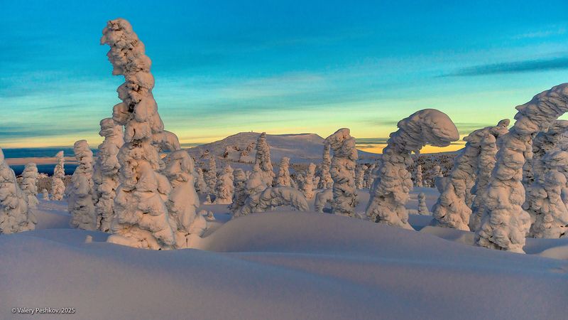 шерегеш, иней, пихты, гора зелёная, горная шория, зимнее утро, рассвет, снег, мороз, зима, сибирь Утро на горе Зелёной фото превью