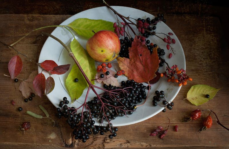 осень, листья, ягоды \\\