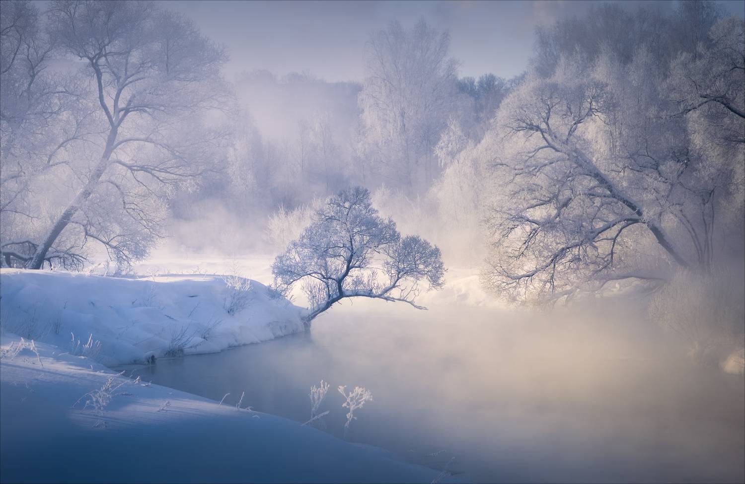 , Богорянов Алексей