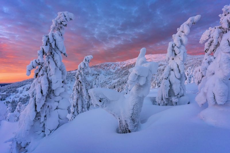 Сегодняшний вечер на Аргыджекеphoto preview