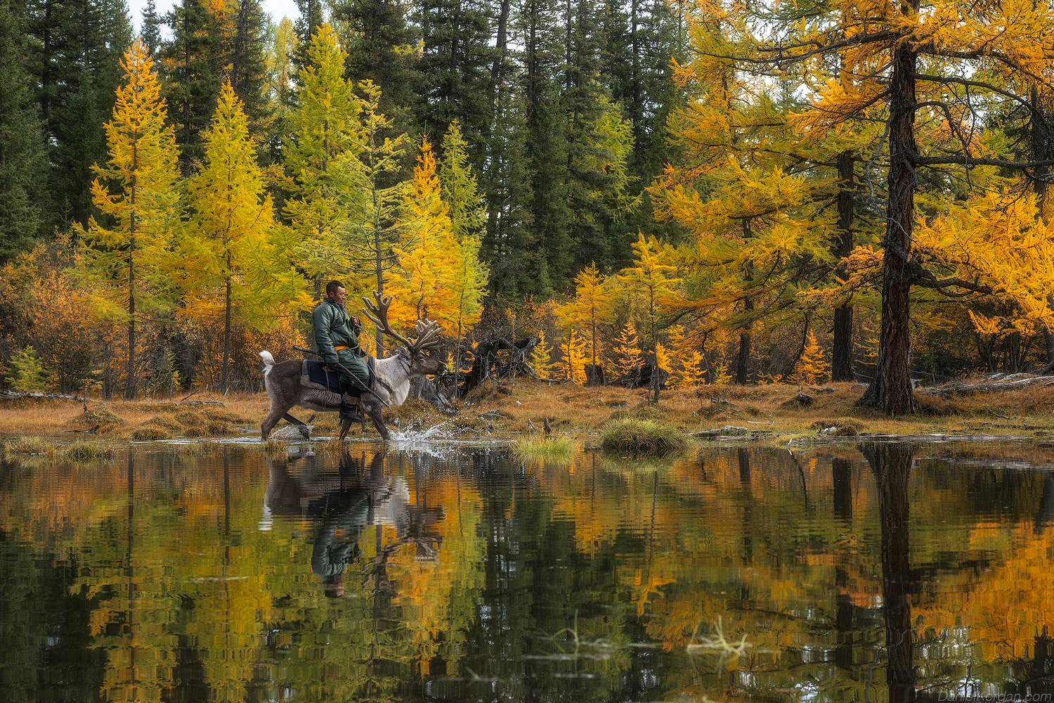 , Даниил Коржонов