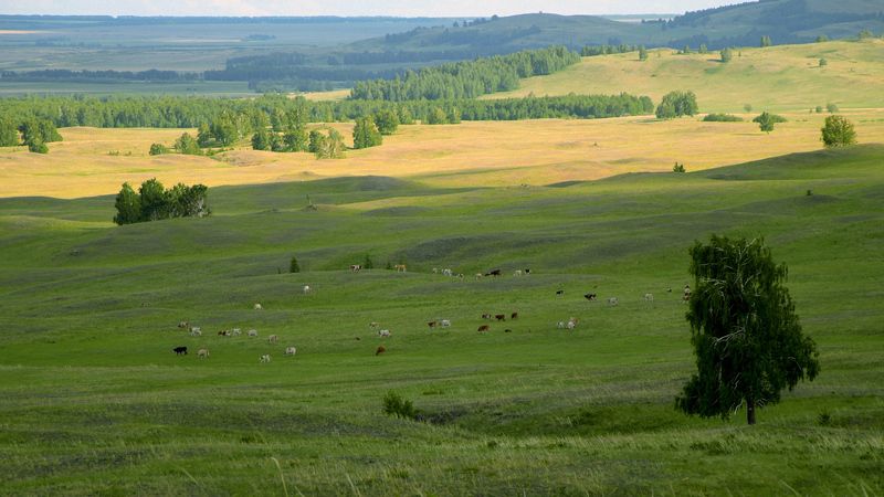 хороводphoto preview