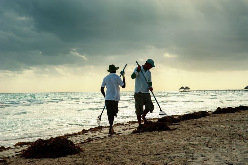 куба, кайа-кока, уборщики пляжа, грабли, рассвет, океан Кубинский танец с граблямиphoto preview