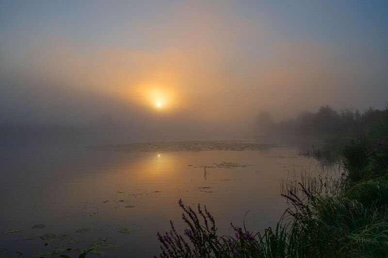 лето озеро рассвет туман природа пейзаж Кончается летоphoto preview