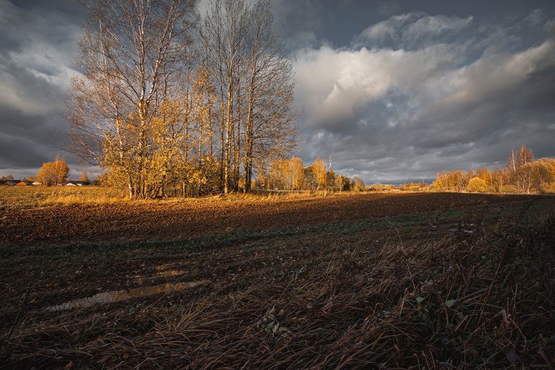 Смоленская обл. д. Торбеево На закате осени... photo preview