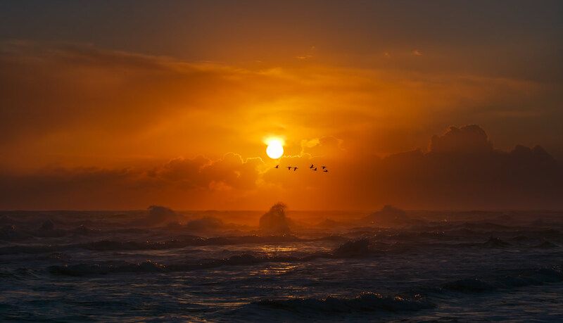 тихий океан, вечер, волны, птицы, солнце, закат Полёт бакланов над Тихим океаном на закате дняphoto preview
