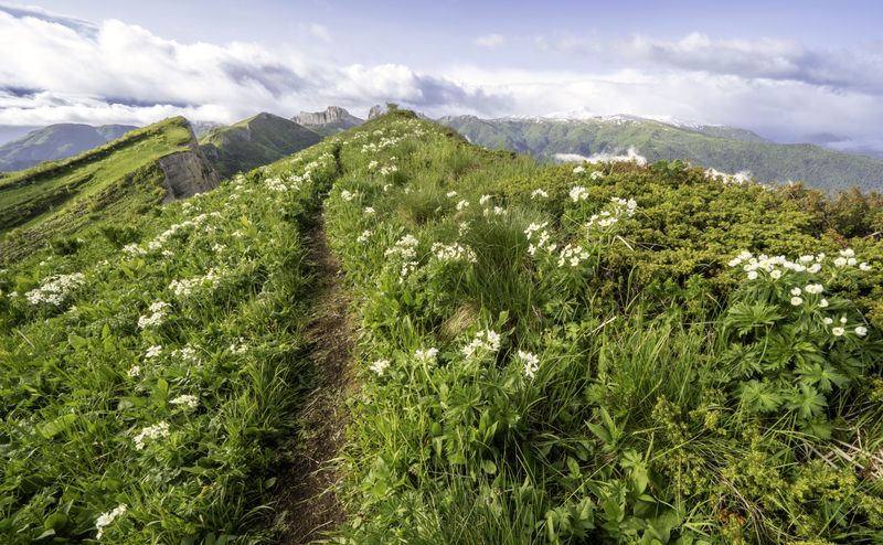 Россия, республика Адыгея, Большой Тхач Природный парк Большой Тхачphoto preview