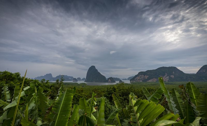 throughphoto preview