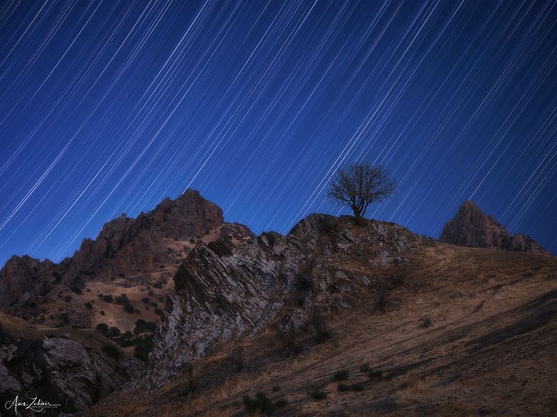 startrails The Lonely Tree under the starsphoto preview