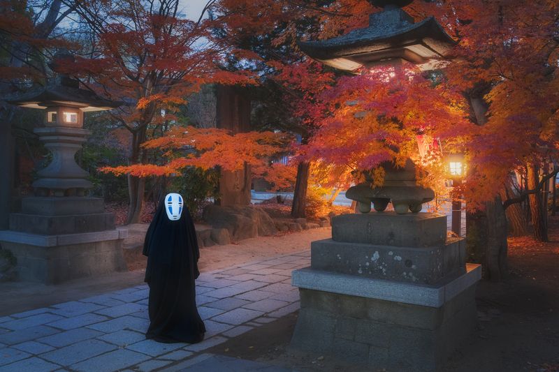 Каонаси. Путешествие призрака по Японииphoto preview