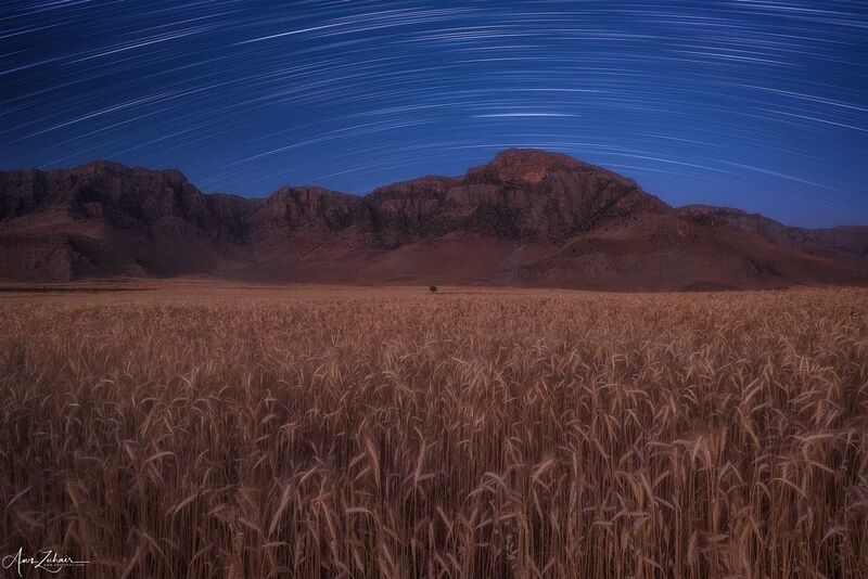 startrails The wheat fieldphoto preview