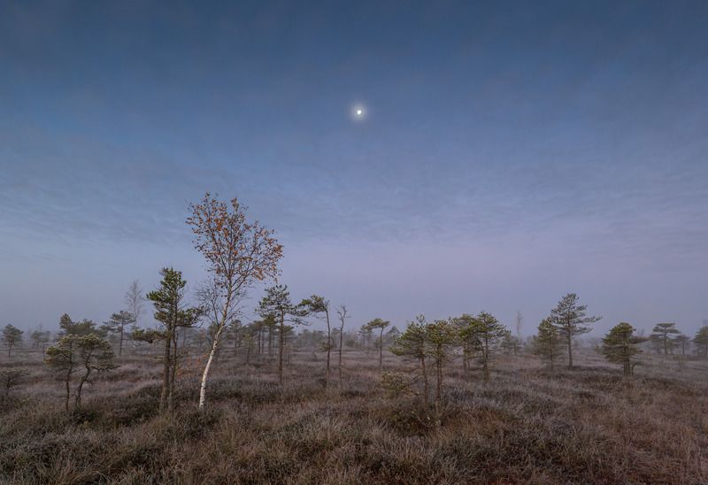 Скоро рассветphoto preview