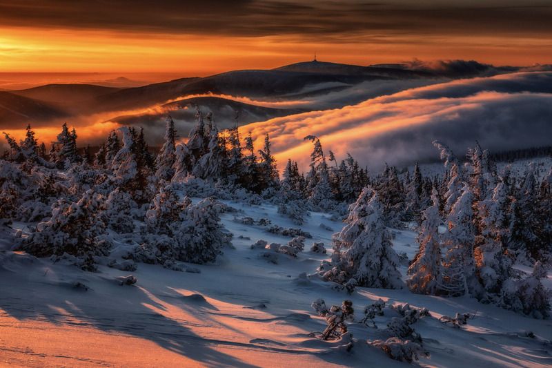 Winter in Jesenikyphoto preview