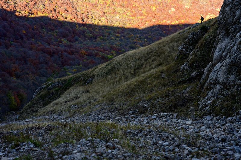 Искатель цветаphoto preview