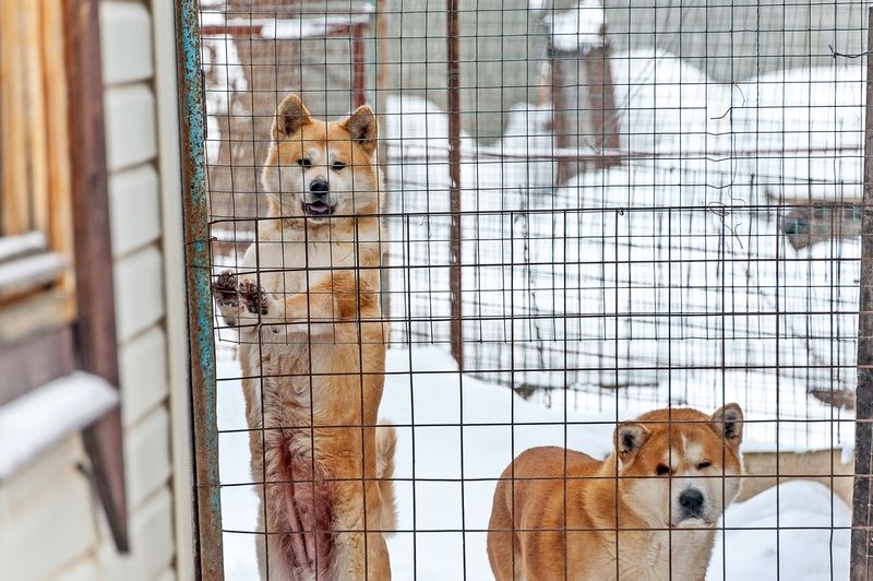 Оптимист и пессимистphoto preview