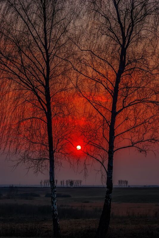 пейзаж, весна, вечер Графика уходящего дняphoto preview