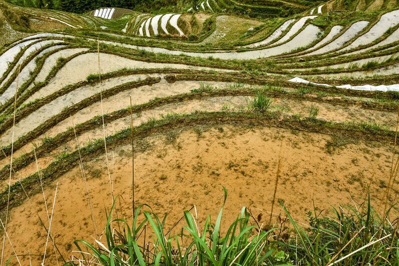 Рисовые террасы Лунцзиphoto preview