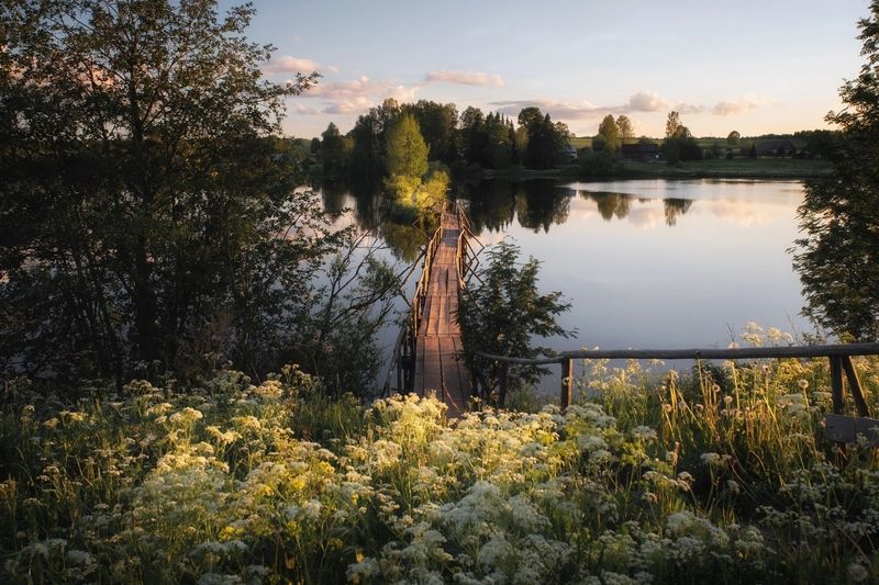 дорога к мостикуphoto preview