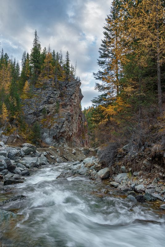 алтай, республика алтай, природа, река чибитка, осень, золотая осень Река Чибиткаphoto preview