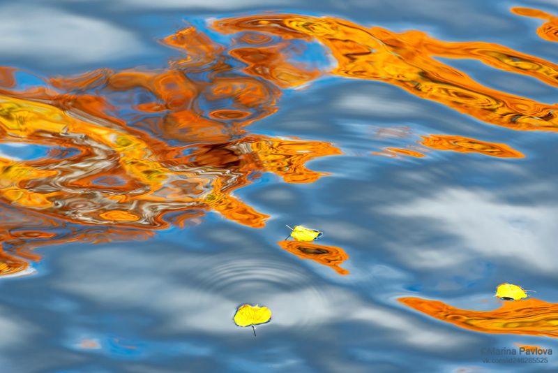 абстракция, акваабстракция, акваграфика, отражения на воде, осенние отражения, красивая вода Акварели осеннего Петербургаphoto preview