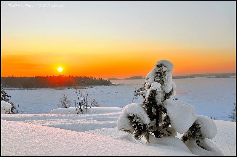 выборг, солнце, проводы, зима, закат, снег Проводы Солнцаphoto preview