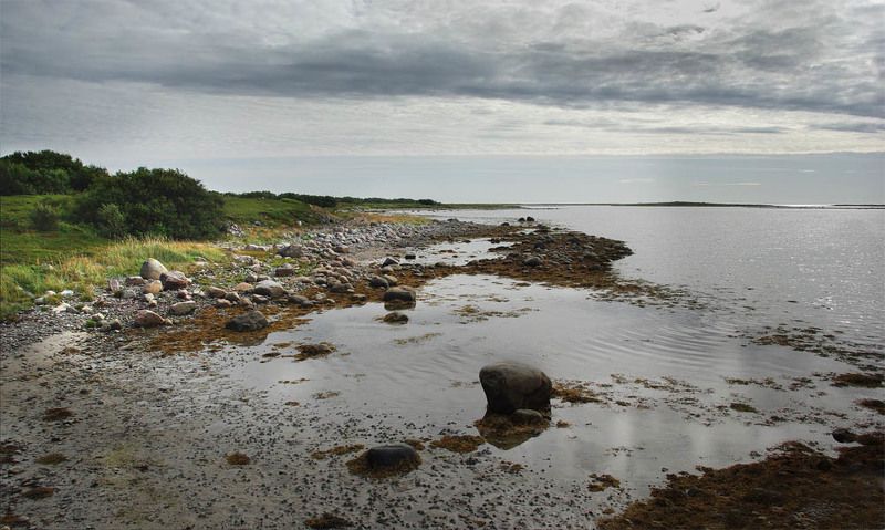 прилив, белое море, большой заяцкий остров, соловки Беломорский приливphoto preview