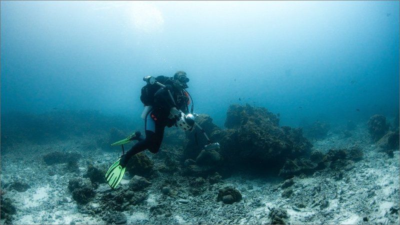 чирипахи_рулез Гринписа на него нету ... фото превью