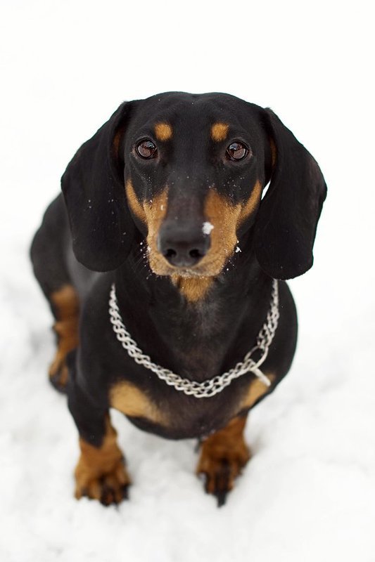 таксыphoto preview