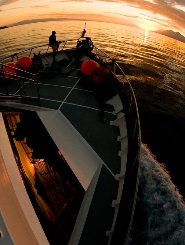 закат, море Немного солнца в теплой водеphoto preview