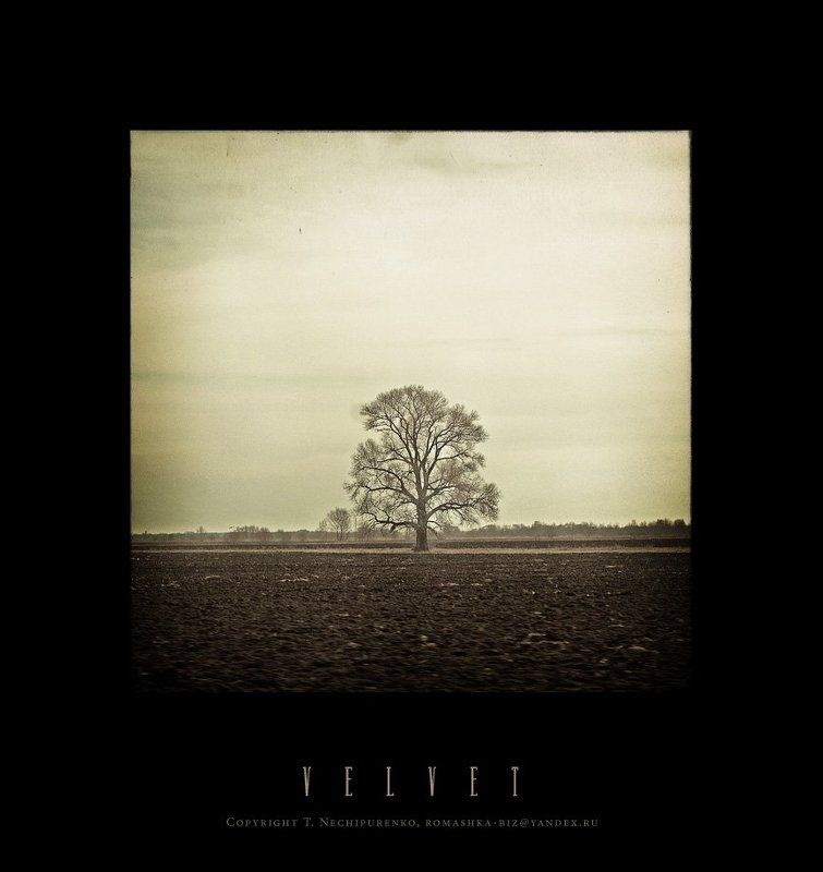 дерево, зима ***photo preview