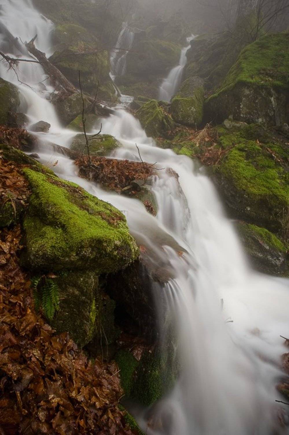 ***. Автор: Синицкий Виталий , Синицкий Виталий