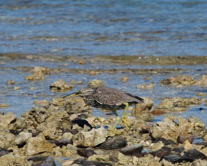 в поисках звездыphoto preview