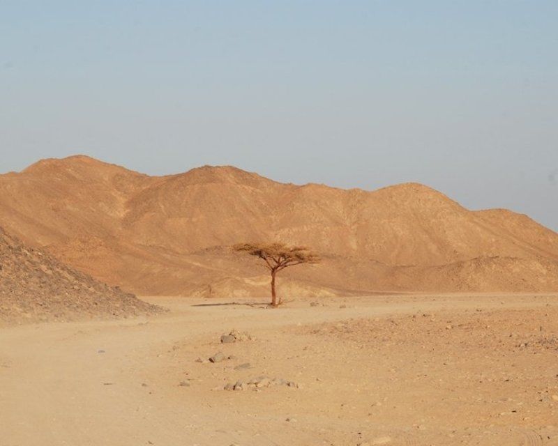 одиночествоphoto preview