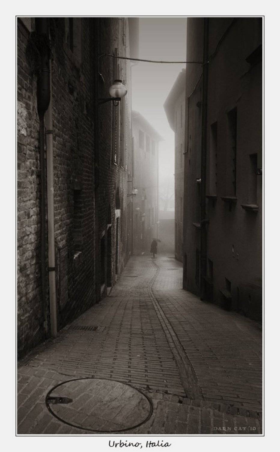 италия, урбино, родина, рафаэля, туман, Darn Cat