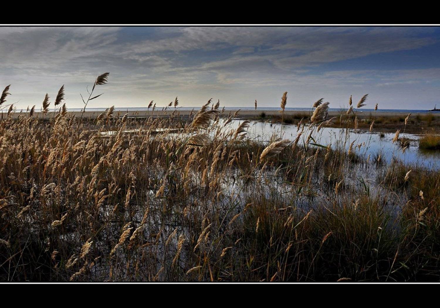 Автор: Vladimir Otrubukhov , Vladimir Otrubukhov