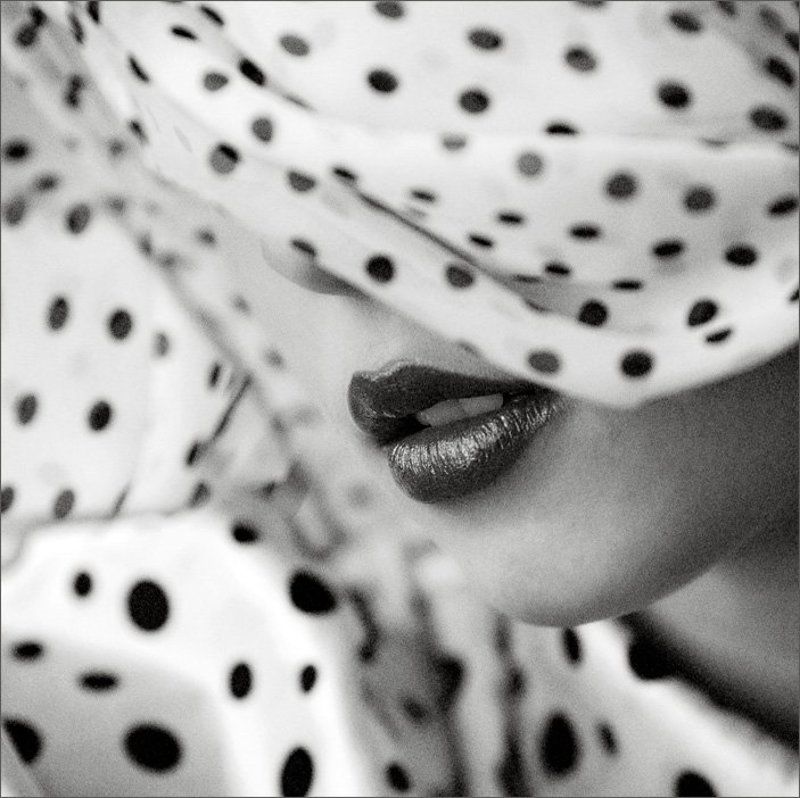 pavo фото превью