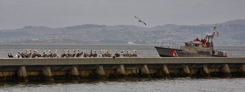 Coast Guardphoto preview