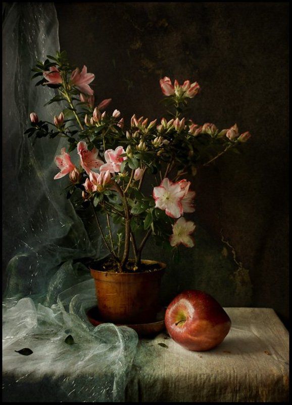 Азалия и Я...photo preview