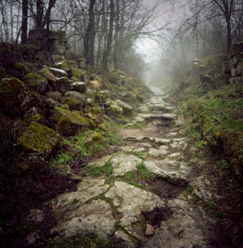 Дорожкаphoto preview