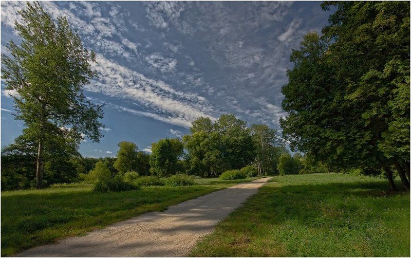 дендропарк, александрия Дорожками парка IIphoto preview