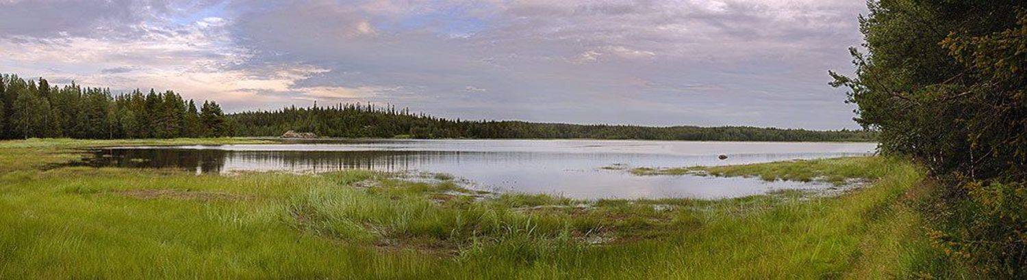 Белое море. Подступы к Черной Речке. Автор: Юрий Охлопков , Юрий Охлопков