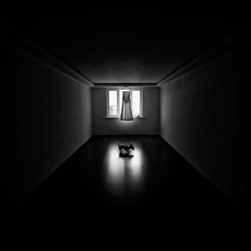 начало Началоphoto preview